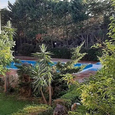 Apartamento Mama House *